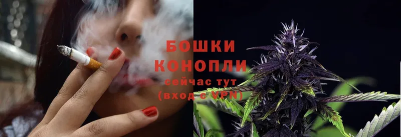 мега маркетплейс  Жуков  Шишки марихуана THC 21% 